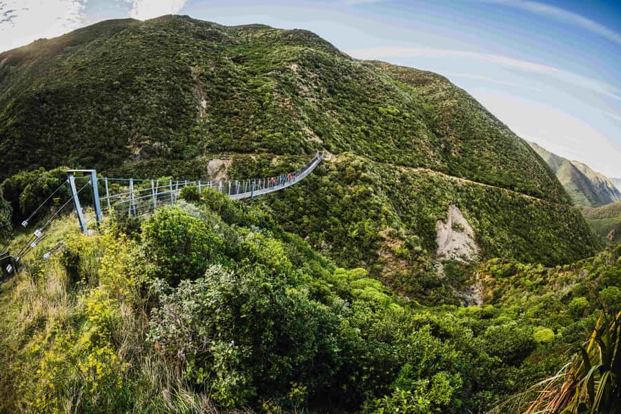 Remutaka Rail Trail eBike Shore Excursion for Cruise Ships - Key points to know before you book