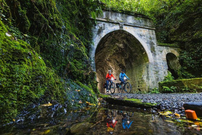 Remutaka Rail Trail Mountain Bike Explorer Cycle Tour - Why the Remutaka Rail Trail makes a good Wellington day out