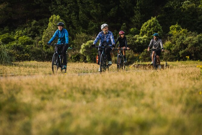Remutaka Rail Trail Mountain Bike Explorer Cycle Tour - Bridges, tunnels, and the climb to the summit