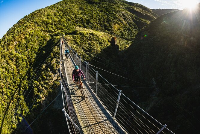 Remutaka Rail Trail Mountain Bike Explorer Cycle Tour - The descent toward Cross Creek