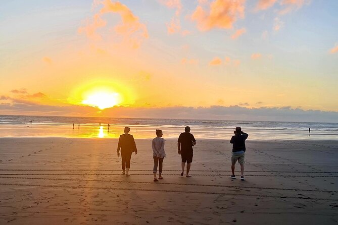 Romantic Auckland Sunset tour with Winery & Thermal pool - What the guide adds to the evening
