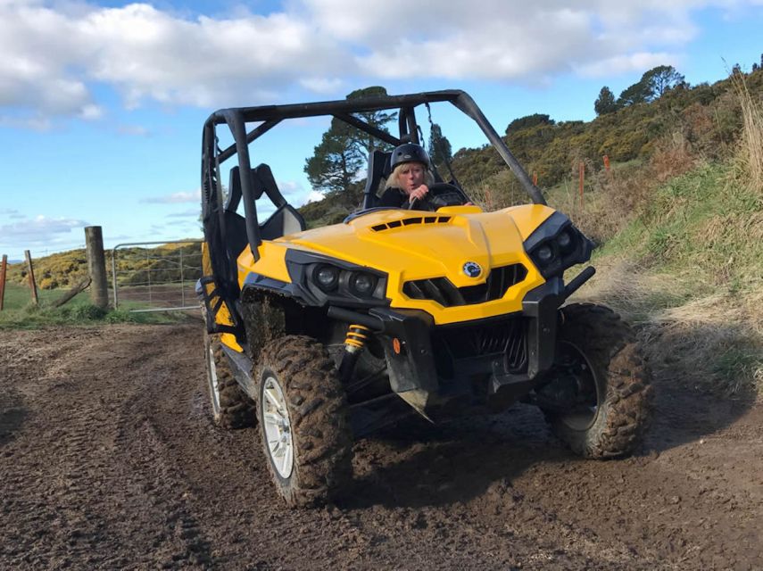 Rotorua: 4×4 Self-Drive Buggy Tour Through Farm and Bushland - Key points at a glance