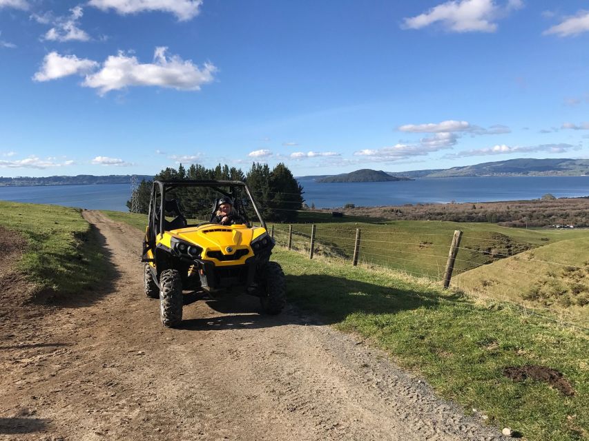Rotorua: 4×4 Self-Drive Buggy Tour Through Farm and Bushland - Taking the wheel in Rotorua’s countryside