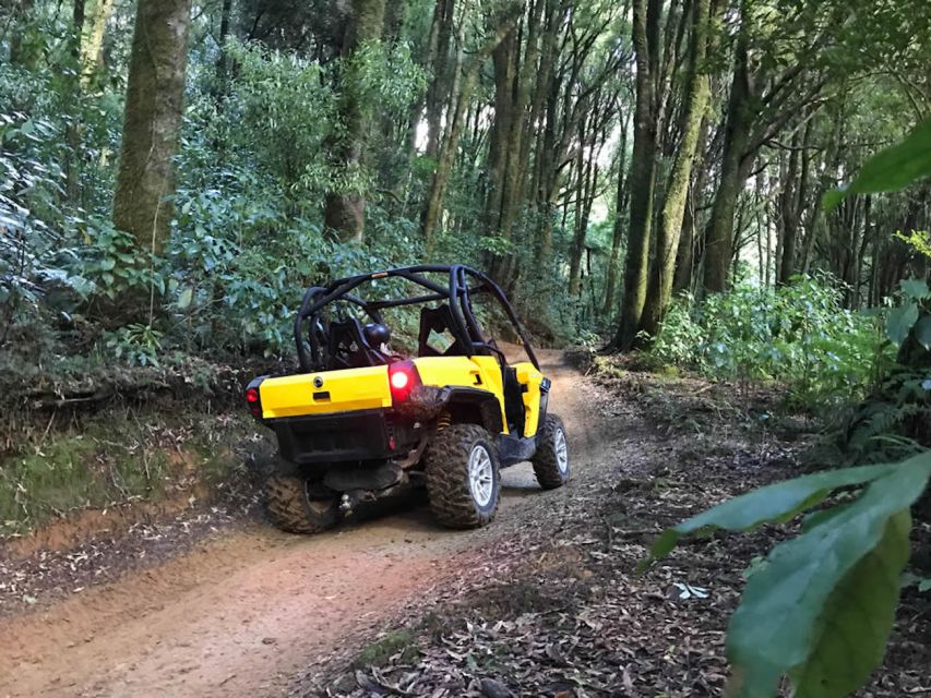 Rotorua: 4×4 Self-Drive Buggy Tour Through Farm and Bushland - Following the guide through farm country