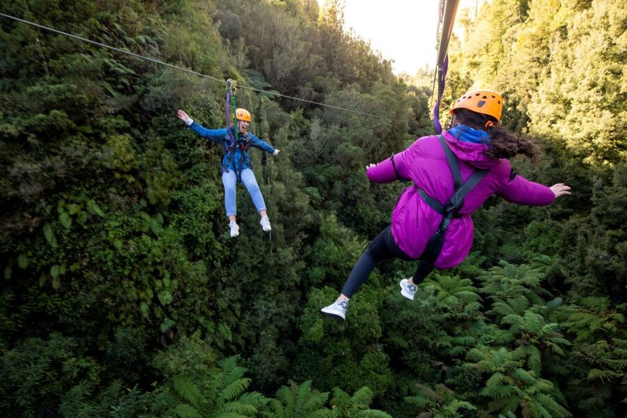 Rotorua: 6 Ziplines, 400m Tandem, Cliff Walk & Swing Bridges - Key points to know before booking