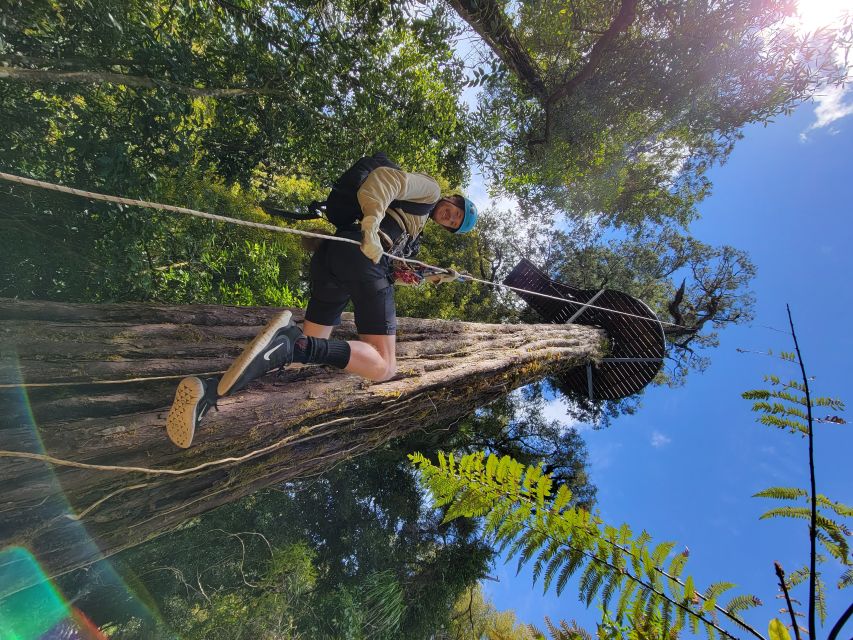 Rotorua: 6 Ziplines, 400m Tandem, Cliff Walk & Swing Bridges - Conservation is part of the experience