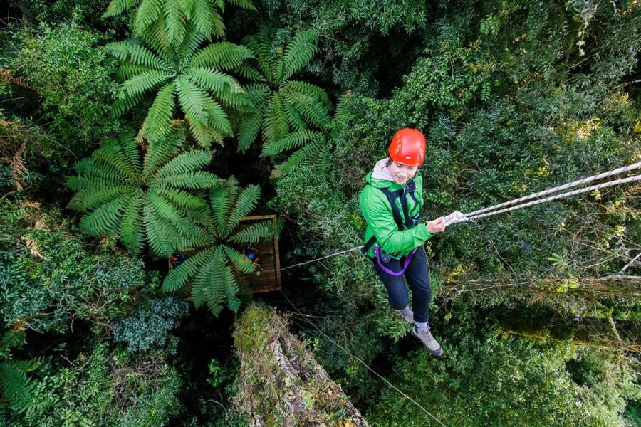 Rotorua: 6 Ziplines, 400m Tandem, Cliff Walk & Swing Bridges - Guide quality and group size