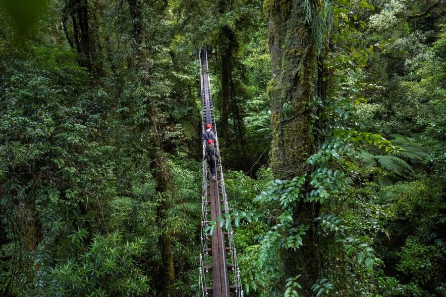 Rotorua: 6 Ziplines, 400m Tandem, Cliff Walk & Swing Bridges - How demanding is the tour?