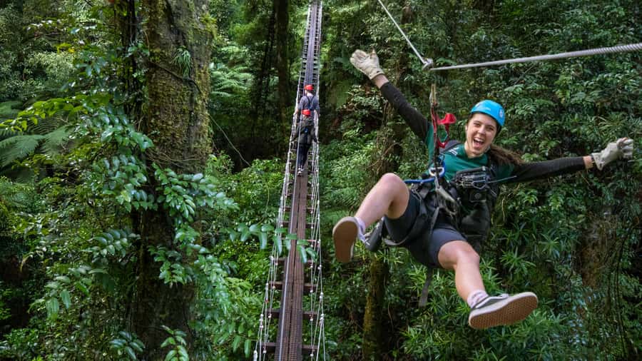 Rotorua: 6 Ziplines, Swing-Bridges & Wildlife Encounters - Key points at a glance