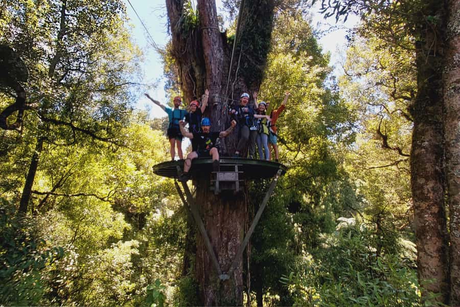 Rotorua: 6 Ziplines, Swing-Bridges & Wildlife Encounters - What to wear and what the course asks of you