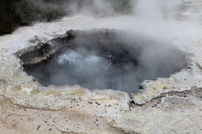 Rotorua and Waitomo Caves Day Trip from Auckland -Smaller Groups - What the guides add to the day