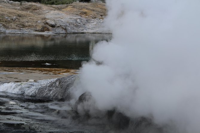 Rotorua and Waitomo Caves Day Trip from Auckland -Smaller Groups - Comfort, timing, and the real value of $316.49