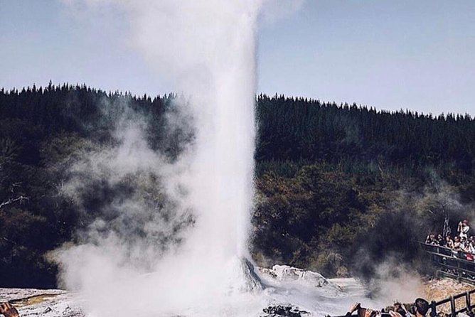 Rotorua based Small Group Morning Tour Waimangu and Wai O Tapu - Is $130.32 a fair price?