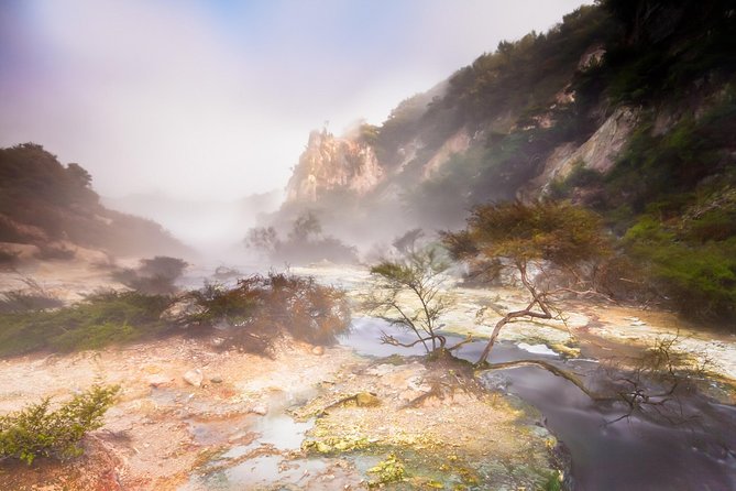 Rotorua based Small Group Morning Tour Waimangu and Wai O Tapu - Who should book this Rotorua outing?