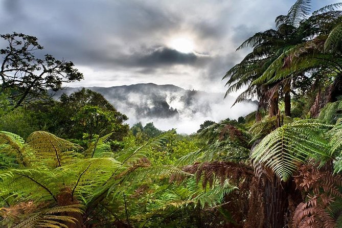 Rotorua based Small Group Morning Tour Waimangu and Wai O Tapu - Lady Knox Geyser at 10:15 AM