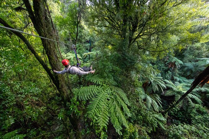 Rotorua Canopy Tours: 2.5Hour Native Forest Zipline Adventure - Why this Rotorua zipline tour feels different