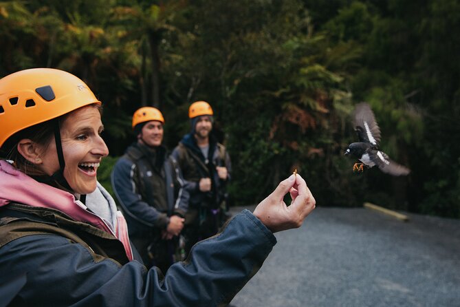 Rotorua Canopy Tours: 2.5Hour Native Forest Zipline Adventure - Learning the forest before you fly
