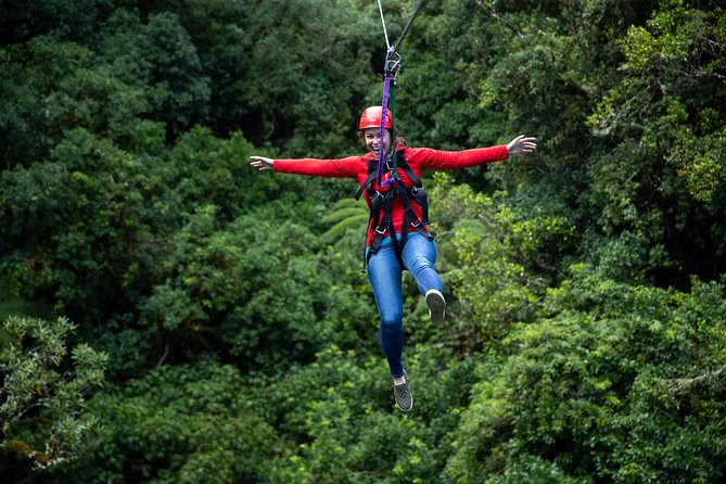 Rotorua Canopy Tours: 2.5Hour Native Forest Zipline Adventure - Ziplines, bridges, and the long run