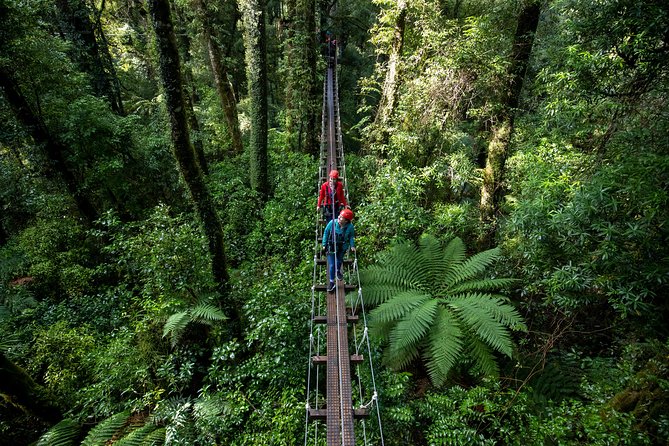Rotorua Canopy Tours: 2.5Hour Native Forest Zipline Adventure - Free photos and what to leave behind