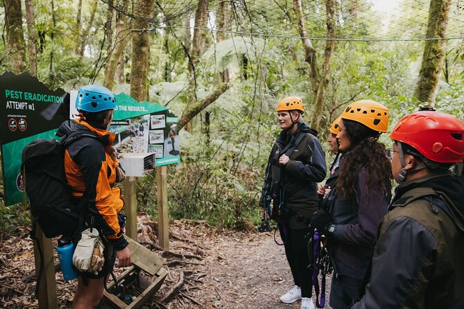 Rotorua Canopy Tours: 2.5Hour Native Forest Zipline Adventure - Is $123.49 good value?