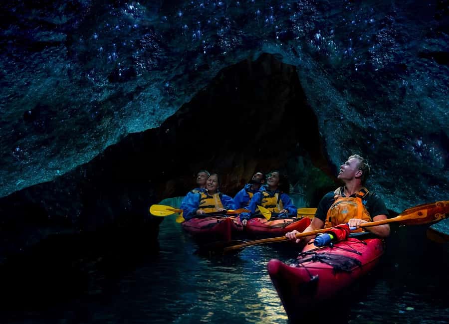 Rotorua: Evening Starlight Gourmet Kayak Tour with dinner - Who will enjoy this Rotorua outing?