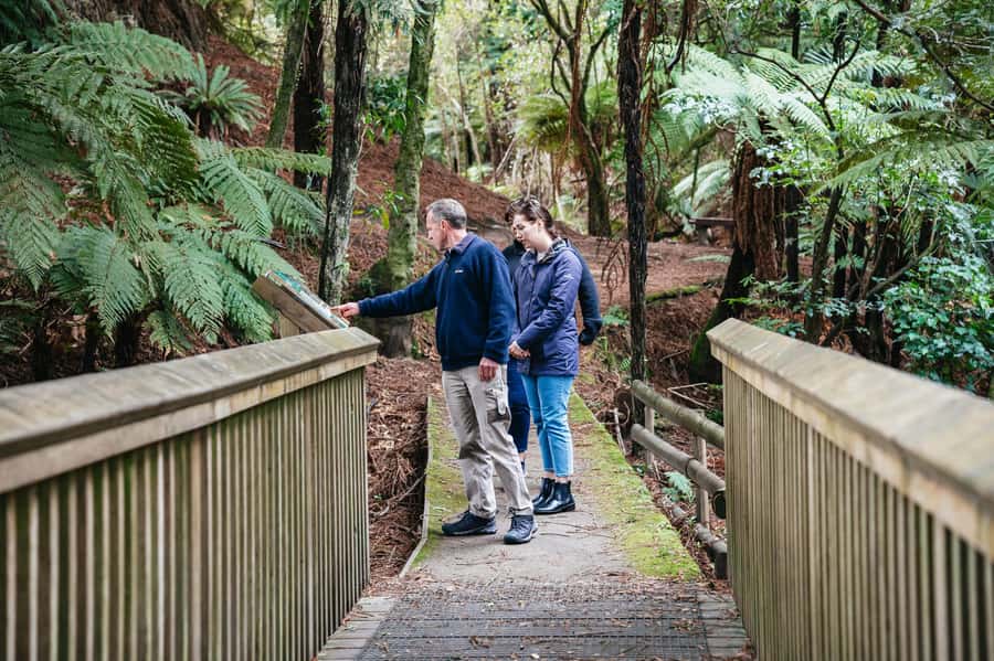 Rotorua: Explore The Lakes Half-Day Morning Tour - Blue Lake and Green Lake side by side