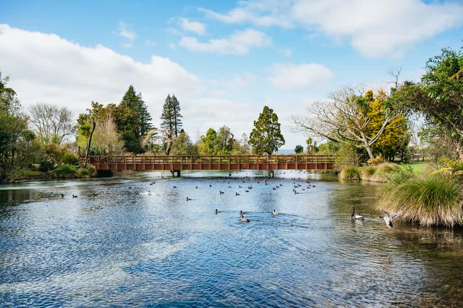 Rotorua: Explore The Lakes Half-Day Morning Tour - Stephen’s guiding style and the small van