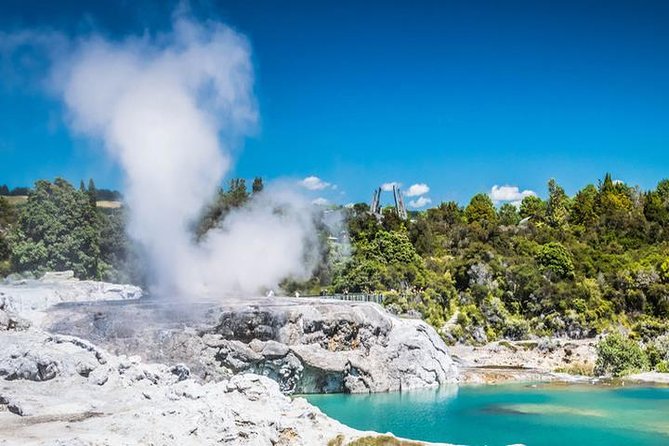 Rotorua Full Day Private Tour from Auckland - Te Puia: the heart of the Rotorua visit