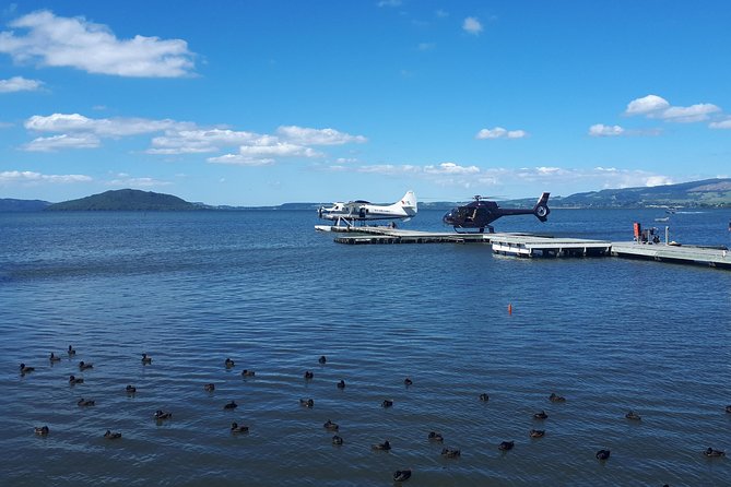 Rotorua Full Day Private Tour from Auckland - What the $216.58 price means