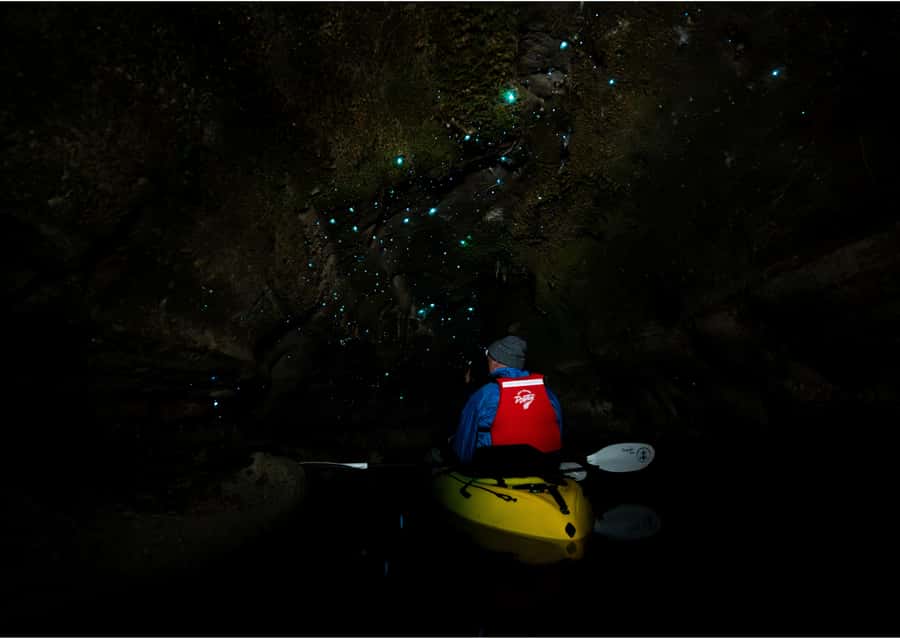 Rotorua: Glow Worm Kayak Tour - What the $116 price includes