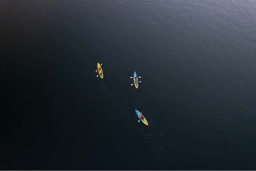 Rotorua: Glow Worm Kayak Tour - Who will enjoy this Rotorua night tour