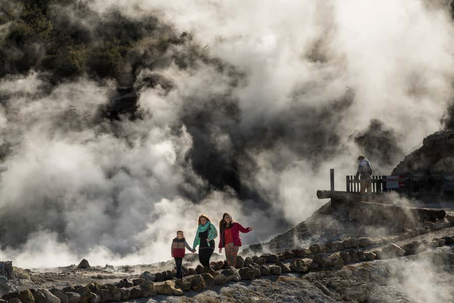 Rotorua: Hell's Gate Geothermal Walk - What you see along the 2-kilometre route