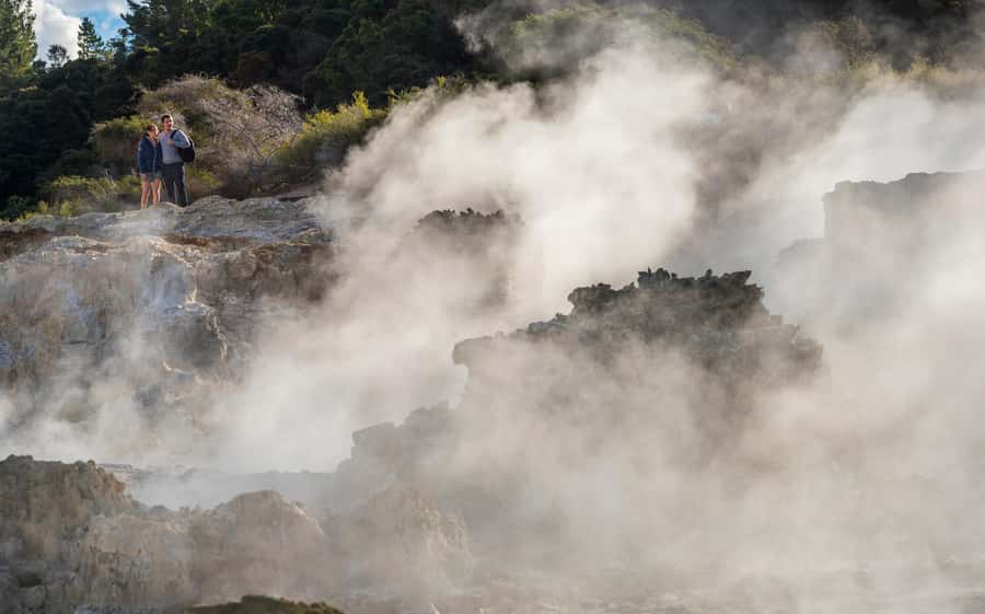 Rotorua: Hell's Gate Outdoor Mud Spa & Guided Walk - Should you book this Rotorua mud spa experience?