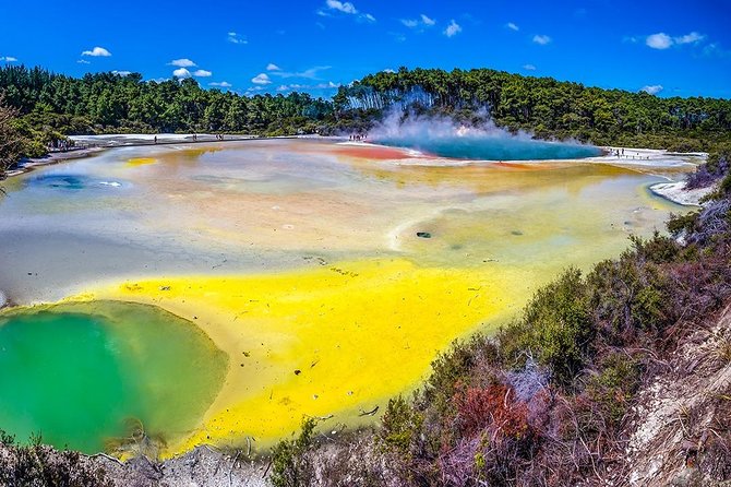 Rotorua Highlights Tour from Auckland with Optional Extras - Why this Rotorua day trip works from Auckland