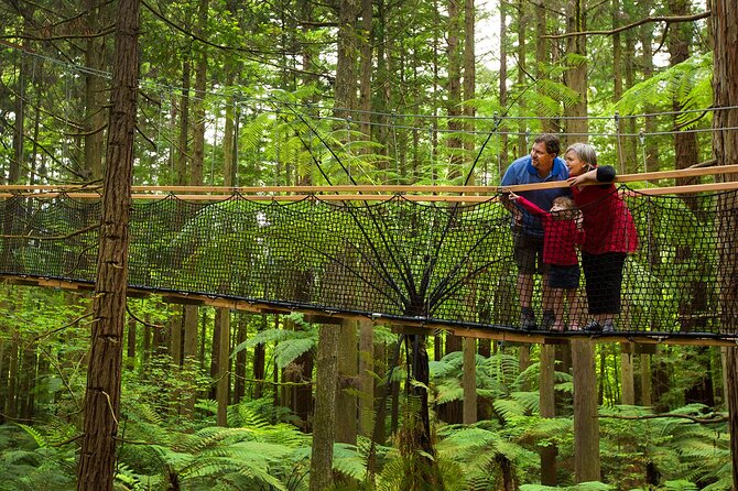Rotorua Highlights Tour from Auckland with Optional Extras - Wai-O-Tapu turns geothermal activity into a walking visit