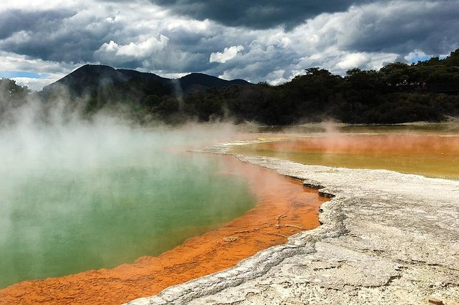 Rotorua Highlights Tour from Auckland with Optional Extras - Redwoods and Secret Spot add a different mood