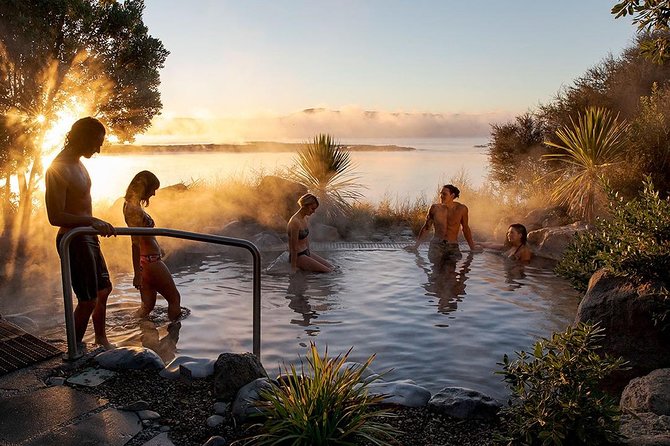 Rotorua Highlights Tour from Auckland with Optional Extras - A short stop in Tirau