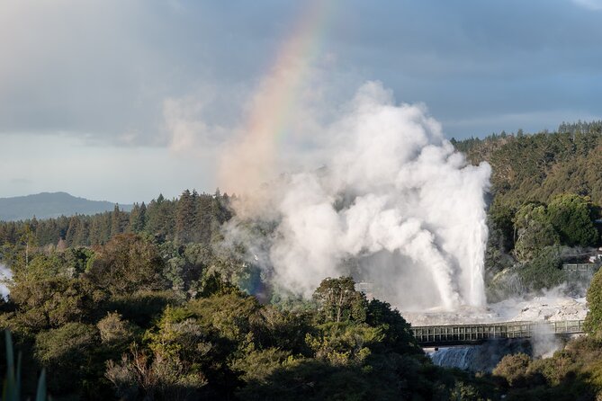 Rotorua Highlights Tour inc. Te Puia Tour, Lunch & Cultural Show - Who will enjoy this tour most