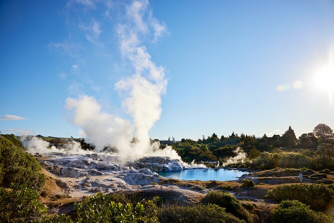 Rotorua Māori Village and Activity Combinations from Auckland - Who will enjoy this Auckland day trip most