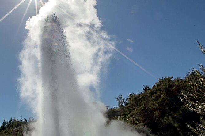 Rotorua Māori Village and Activity Combinations from Auckland - Three ways to spend your Rotorua afternoon