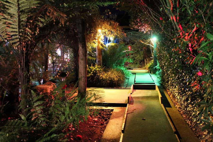 Rotorua: Mini Golf Experience - A mini golf course built around a Rata stump