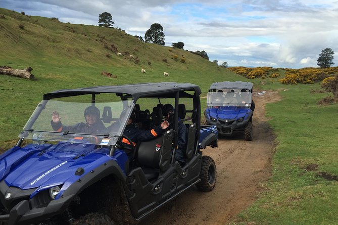 Rotorua Off-Road 4WD Buggy Adventure - Meeting the guide at 10am
