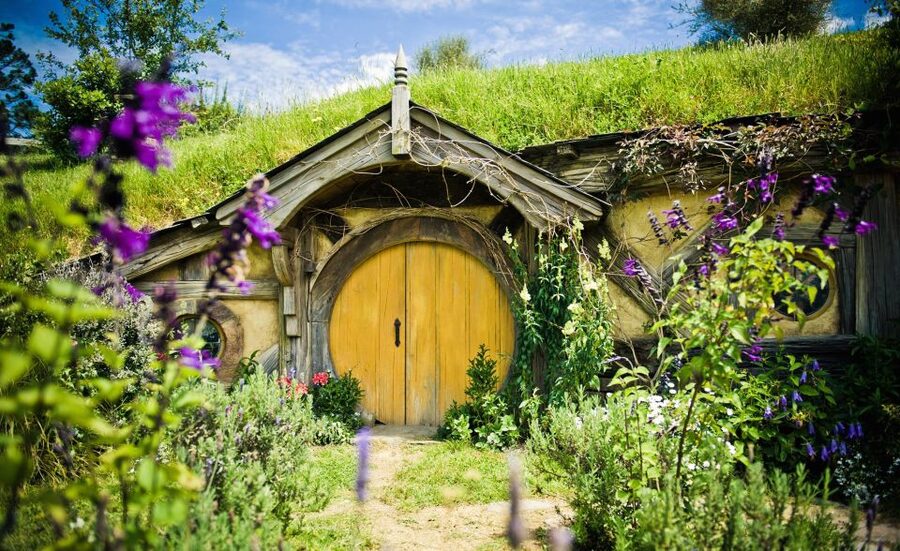 Rotorua: One-Way Trip to Auckland via Hobbiton & Waitomo - Who should book this day?