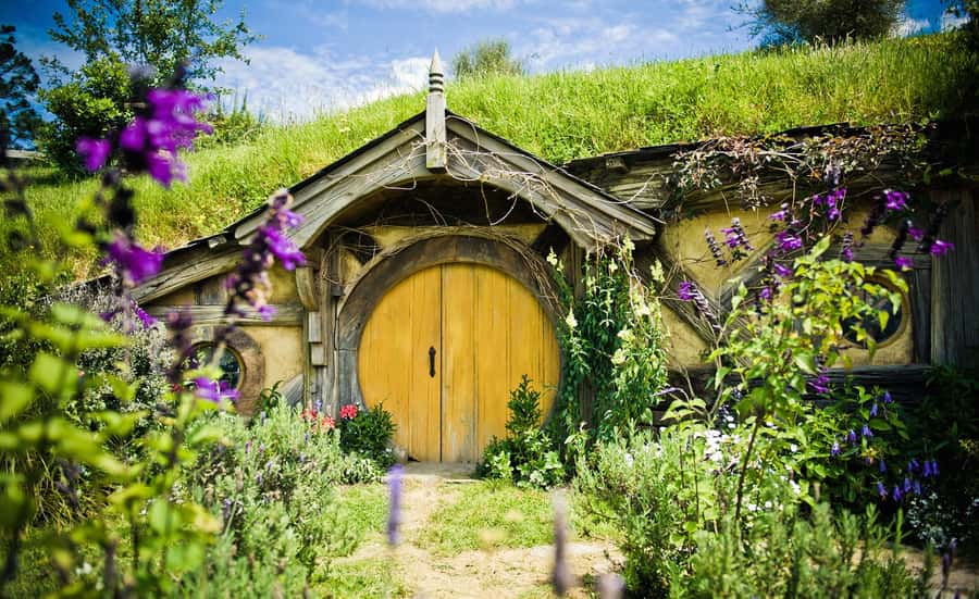 Rotorua: One-Way Trip to Auckland via Hobbiton & Waitomo - Leaving Rotorua with your luggage