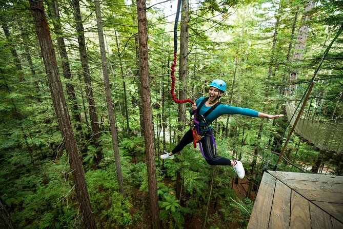Rotorua: Redwoods Altitude High Ropes Adventure - Reaching the redwoods above Rotorua