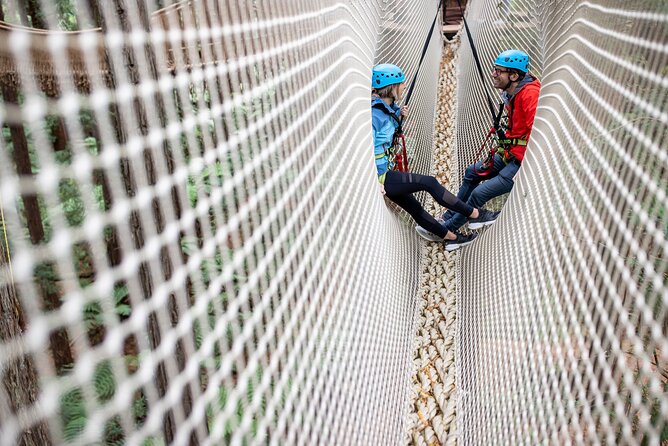 Rotorua: Redwoods Altitude High Ropes Adventure - Zip lines and the final controlled descent