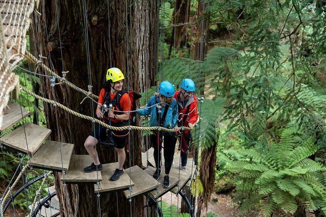 Rotorua: Redwoods Altitude High Ropes Adventure - Booking and cancellation details