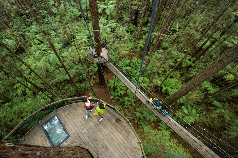 Rotorua: Redwoods Altitude, Nighttime Fast Pass, & Treewalk - The daytime Treewalk and the glowworm eco-cave