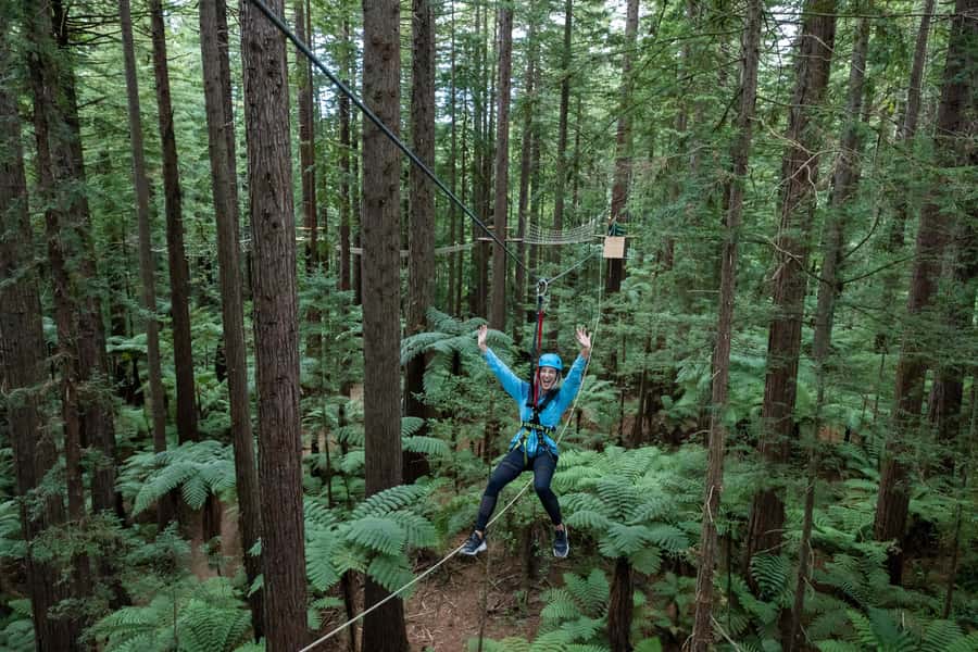 Rotorua: Redwoods Altitude, Nighttime Fast Pass, & Treewalk - Making the day work in Rotorua