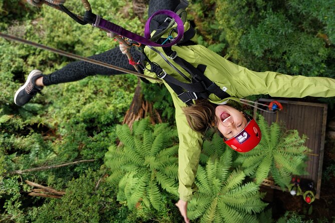 Rotorua’s Ultimate Zipline: 6 ziplines, 400 m Tandem, Cliff Walk - Key points at a glance